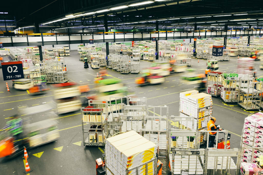 Mercato dei fiori di Aalsmeer con una vasta gamma di fiori in vendita, Paesi Bassi.